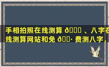 手相拍照在线测算 🐎 、八字在线测算网站和免 🌷 费测八字，哪个更准确